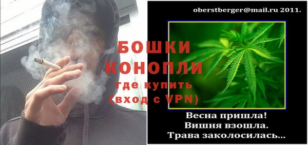 гидра Корсаков