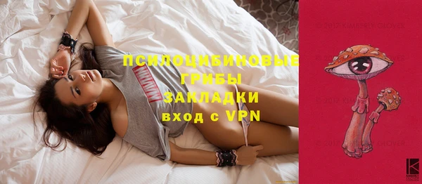 стафф Абаза