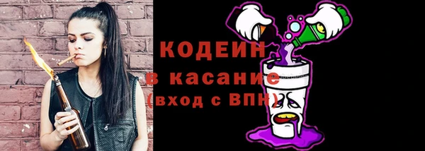 гидра Корсаков