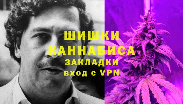 ГАЛЛЮЦИНОГЕННЫЕ ГРИБЫ Коряжма