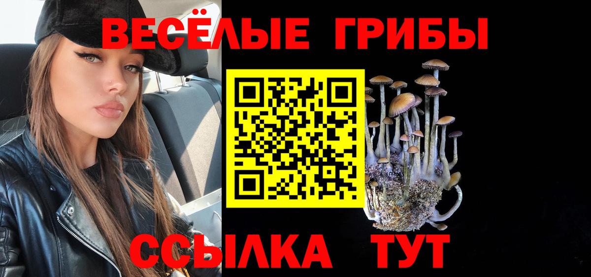 Галлюциногенные грибы Cubensis Кохма